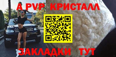 мяу мяу мука Краснознаменск