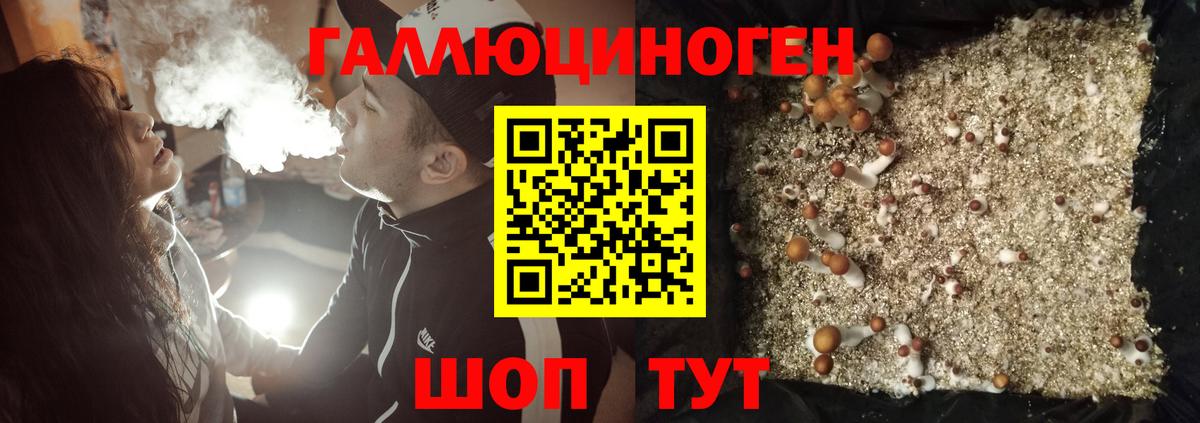 Донецк  Псилоцибиновые грибы прущие грибы  Вход с VPN 
